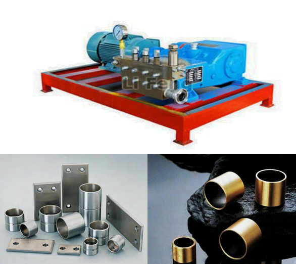 Common rail high pressure pump oilless bearing application